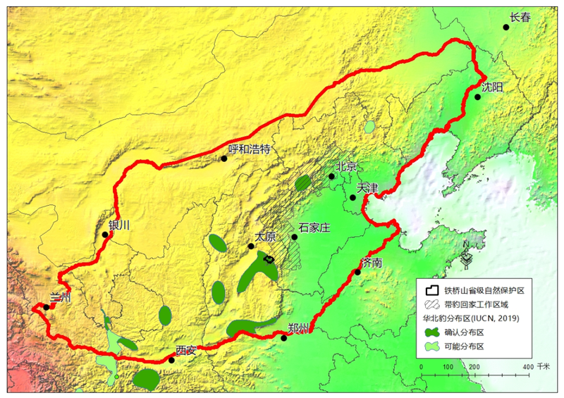 新闻纵深|驼梁再现华北豹意味着什么