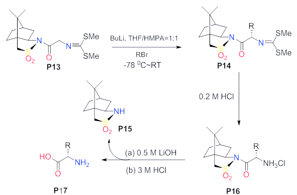 手性α-氨基酸的合成与重要性解析