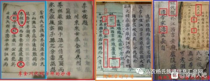李裕智真牛,李氏下一步认谁为祖?