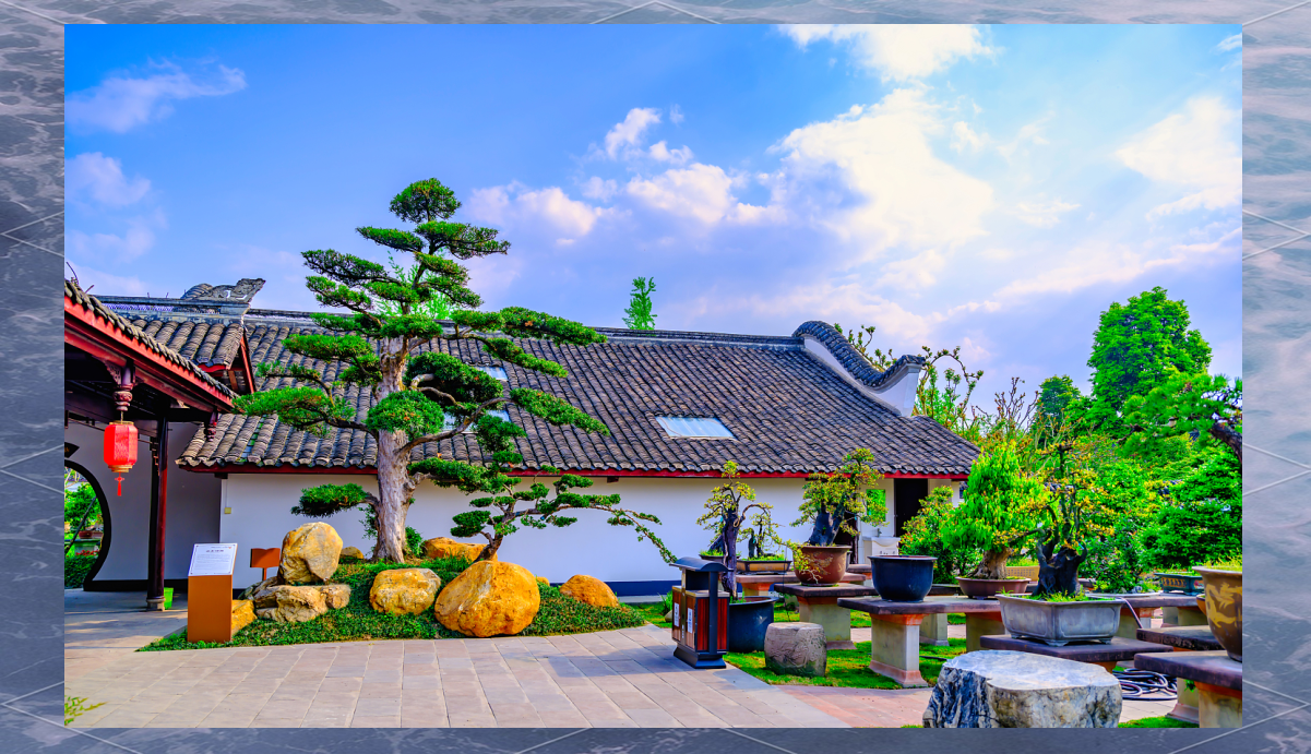 温江川派盆景大师打造立体诗画,构筑公园城市新景致