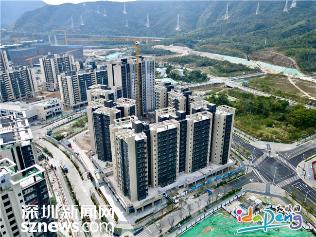 大鹏新区公共住房考核连续三年全市第一,配租率最高达96%