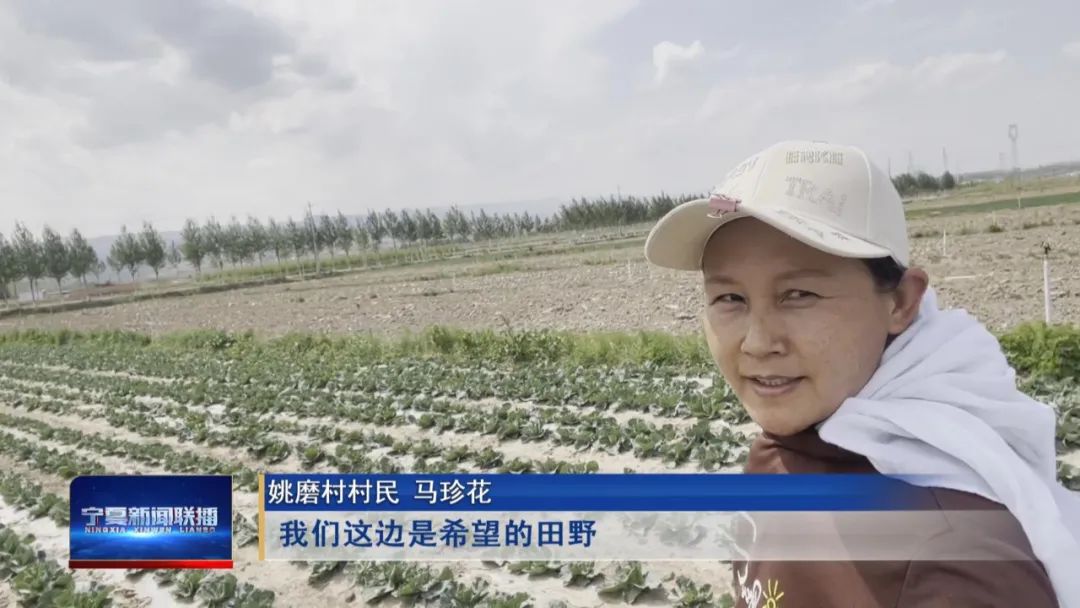 奋斗新征程 建功新时代·足迹|姚磨村:总书记的嘱托我们做到了