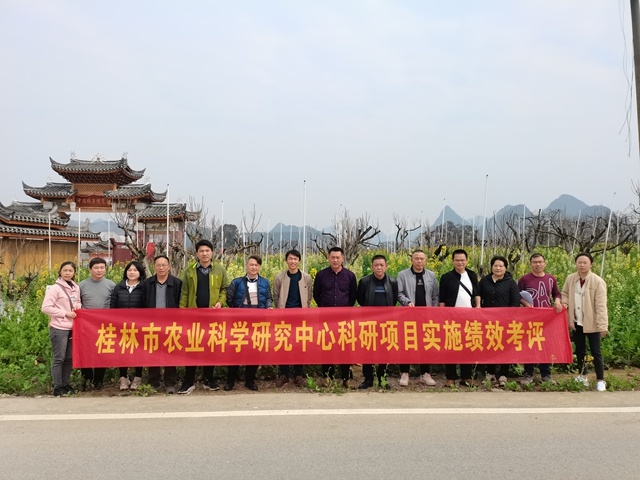 桂林市农业科学研究中心开展2022年科研项目实施绩效考评工作