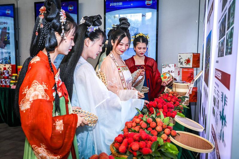 北园绿388元/斤!广州优质品种荔枝进入上市季