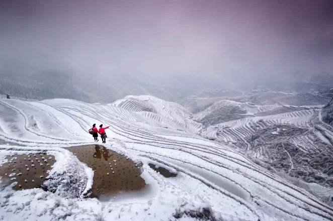 你见过桂林的雪景吗?白滢素裹,美艳惊人,好多人被惊艳到了