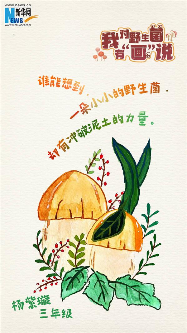 创意海报|我对野生菌有"画"说!