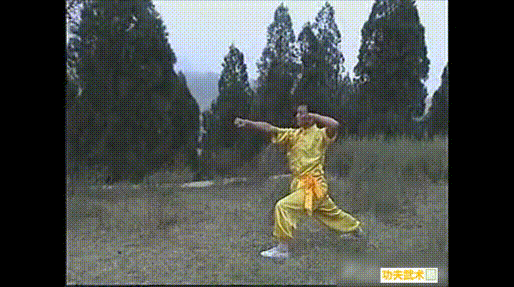 少林连环拳实战格斗运用(下),既防身又健身,普通人能练的拳