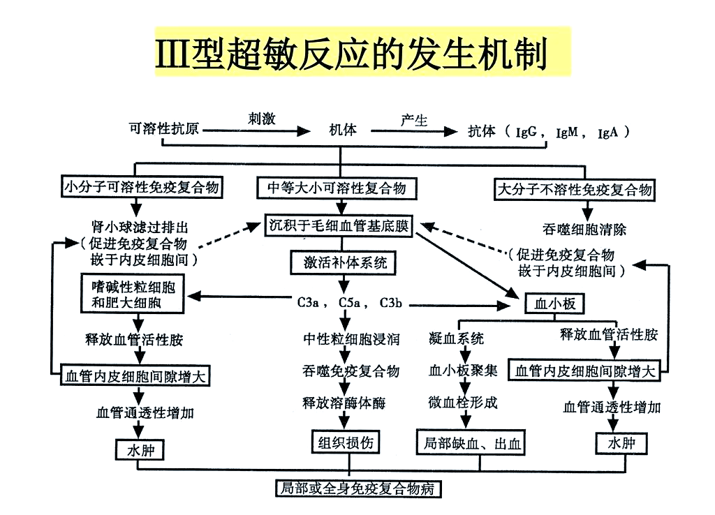 药物过敏反应的分类,预防与治疗指南