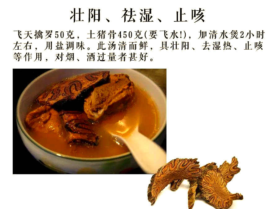 飞天擒罗:一种珍稀的煲汤食材,应对久咳不愈与抽烟的福音