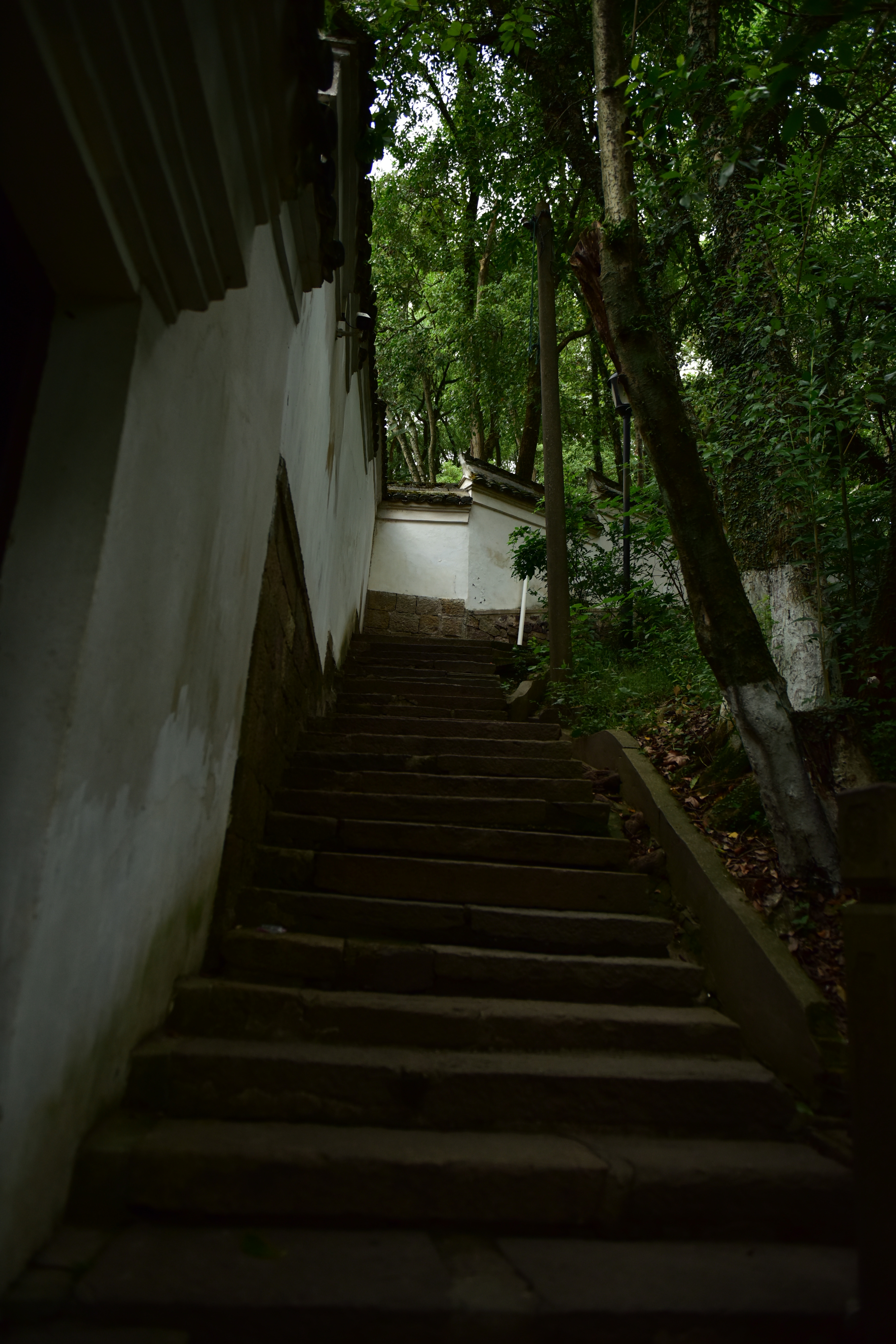 余姚龙泉山景点图片