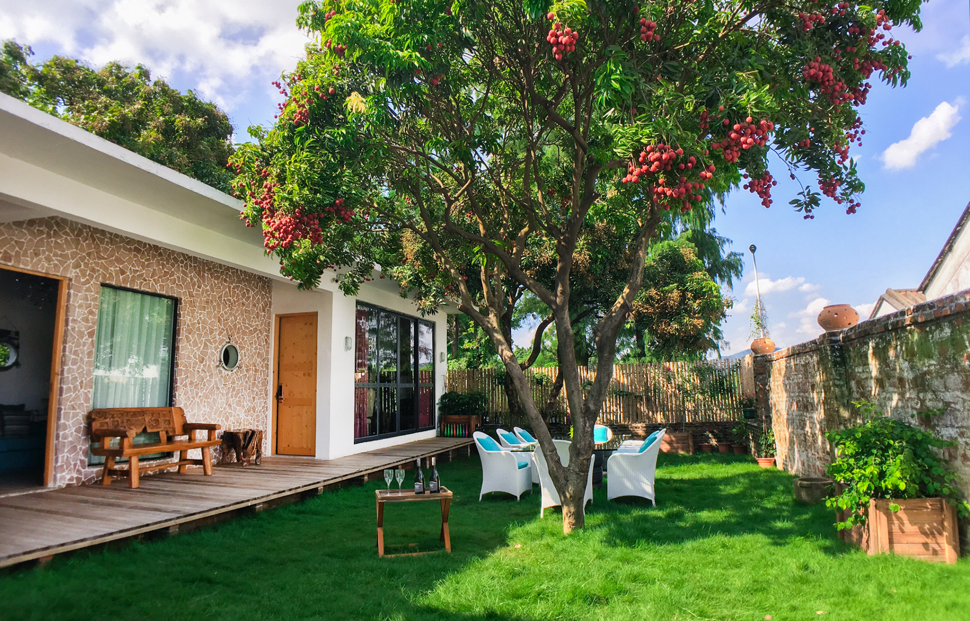 珠海民宿考察记:悠然自得,独享不被打扰的静谧时间