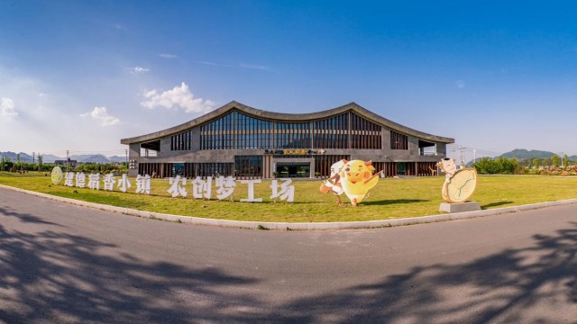 建德大同:稻香小镇存古韵,美丽城镇建未来