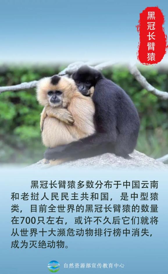 國際珍稀動物保護日 | 不要等到珍稀才去珍惜