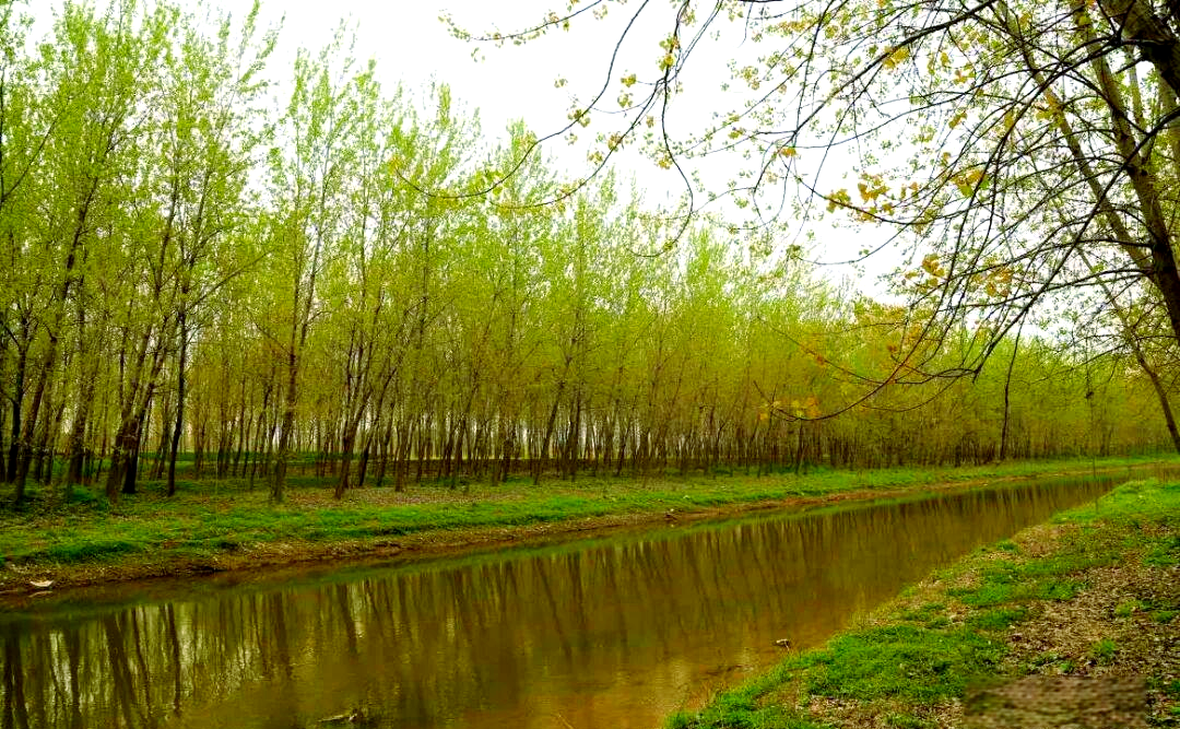 惠济河:睢县的历史见证与现代发展