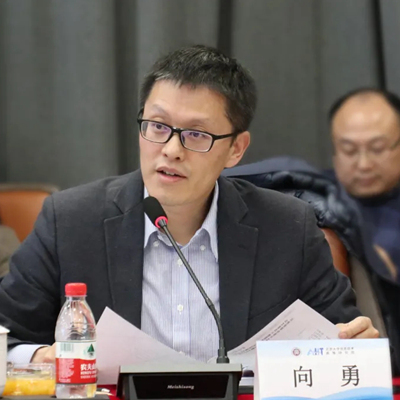 向勇