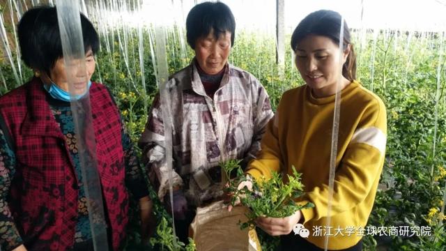 新农人韩冬雪:"农场创业路"与"强农富民心"