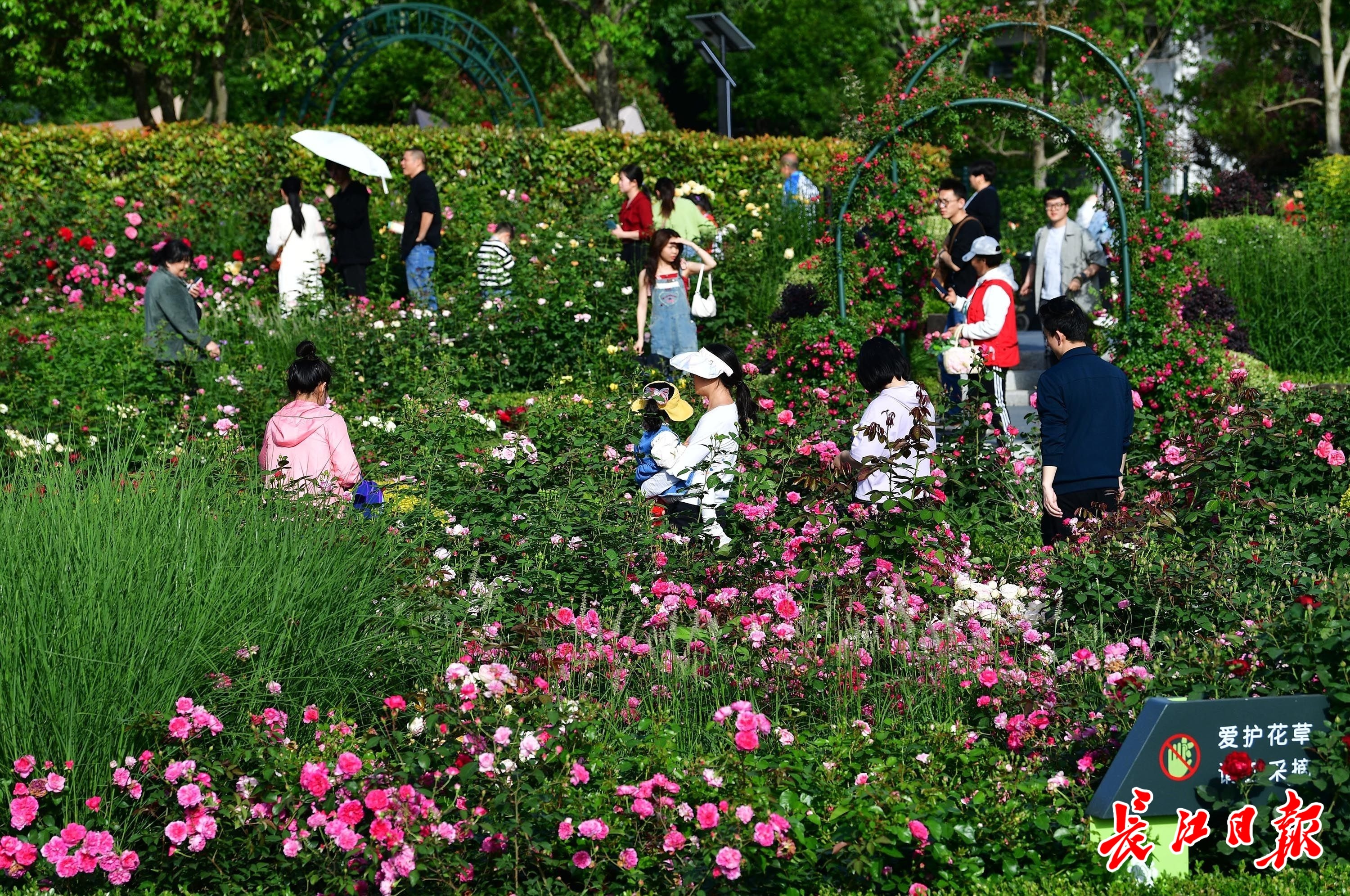 花盛集团(花盛集团胸博士产品效果好吗)