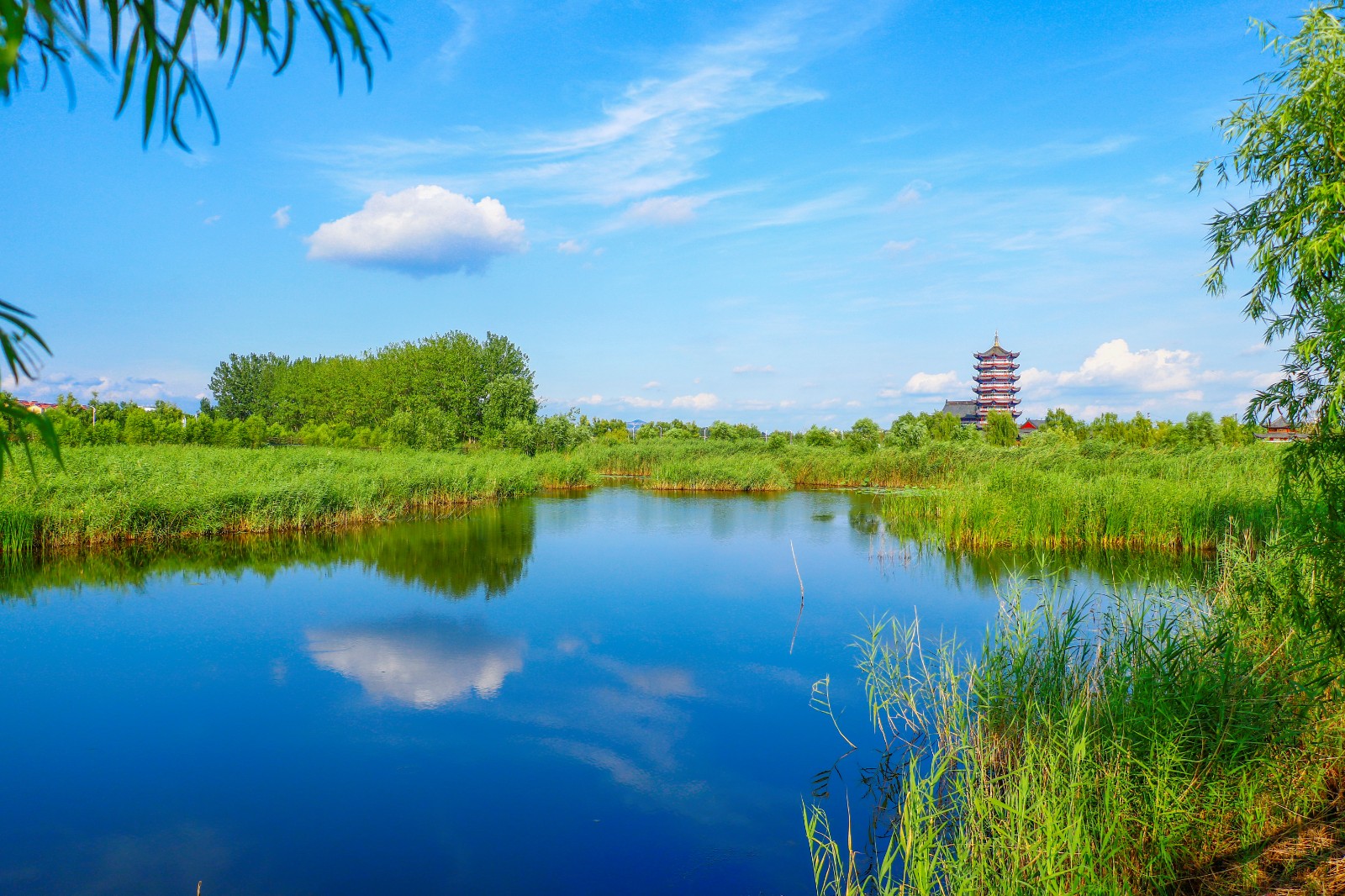 东平湖风景图片