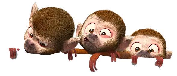 爱上花果山|花果山的猴