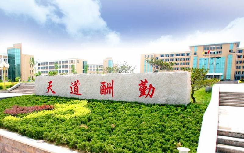 山东现代学院是985还是211(2024高考参考)