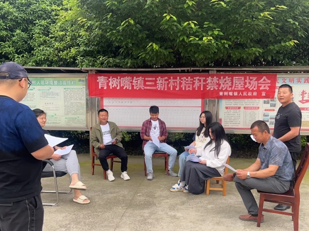 南县青树嘴镇扎实开展秸秆禁烧宣传工作