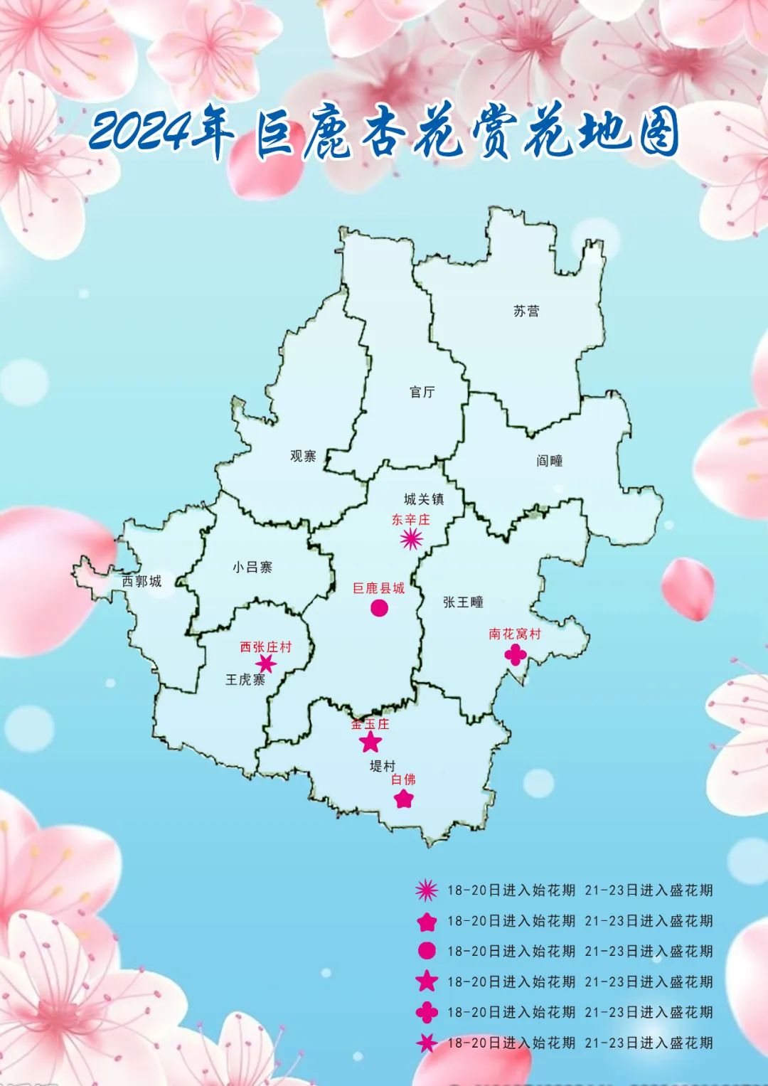 巨鹿杏花快开了