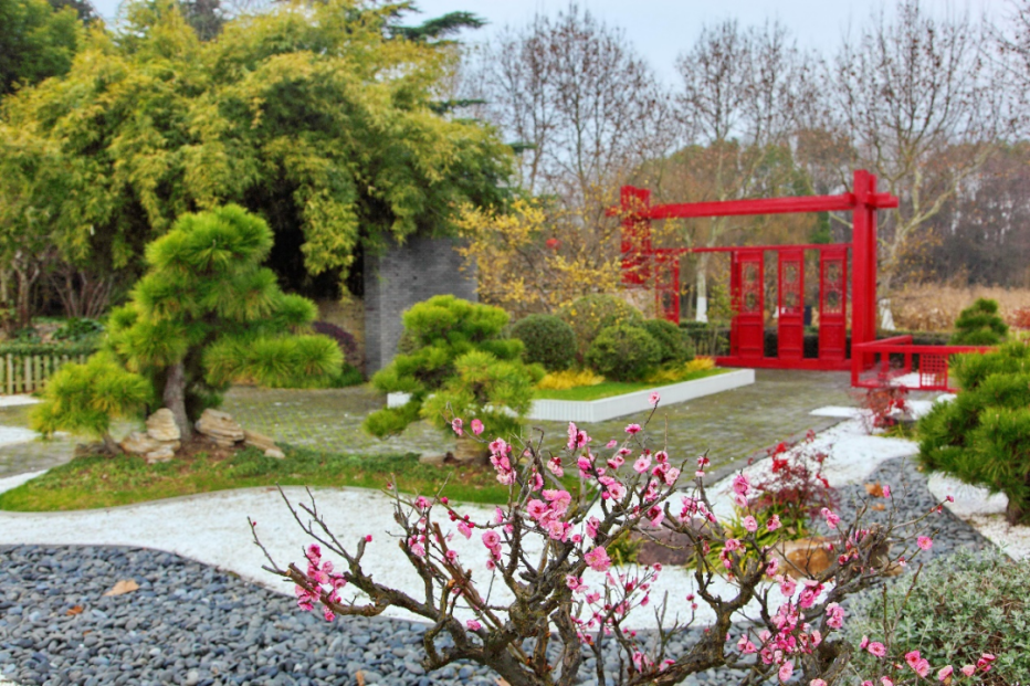上海有这么多梅花展快乘坐公共交通赴一场梅好约会