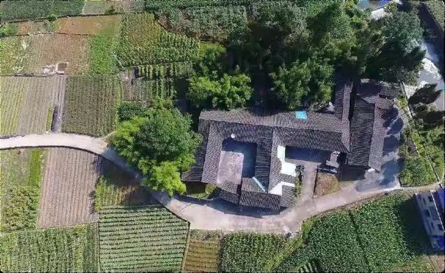 换个视角看中国粽叶之乡