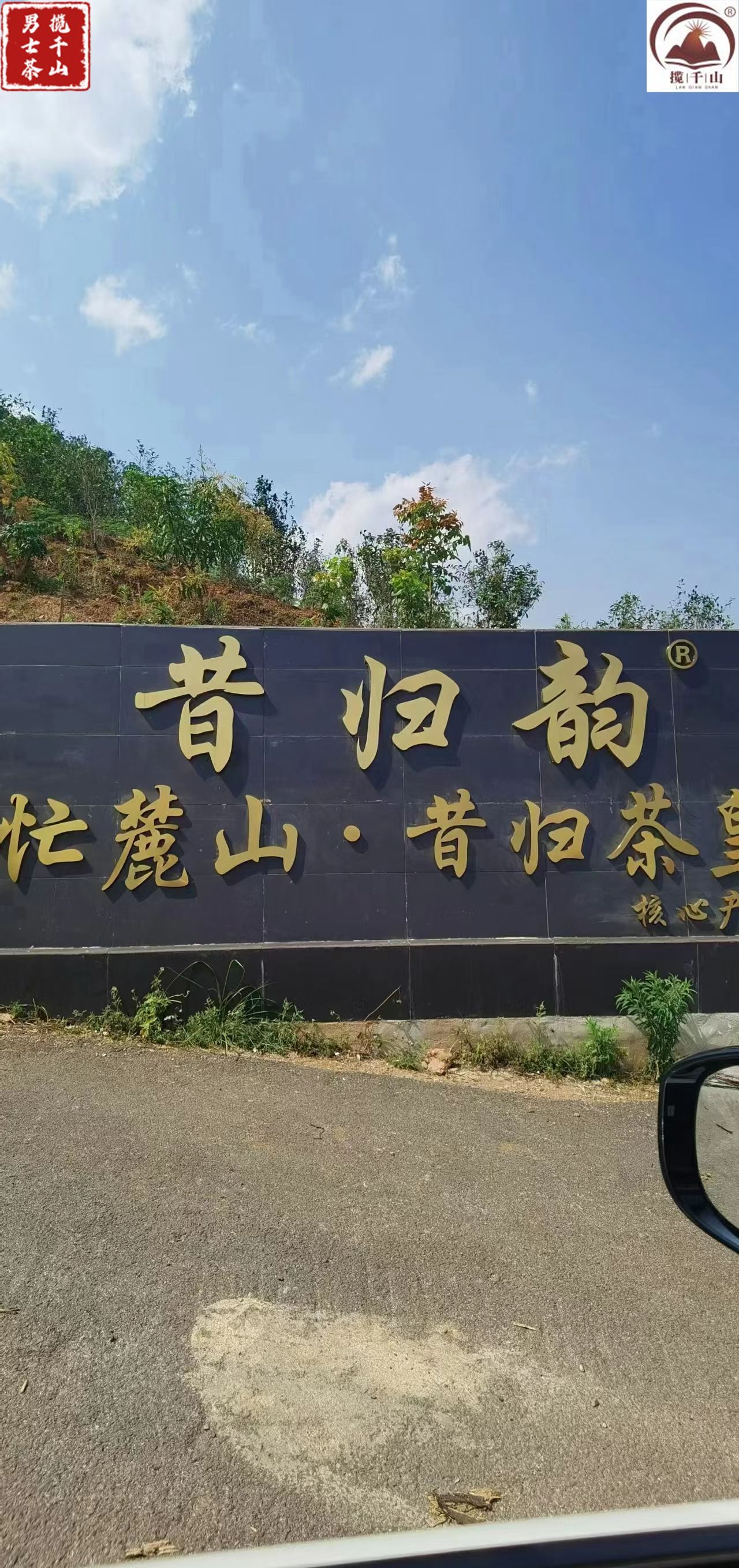 昔归茶,忙麓山!