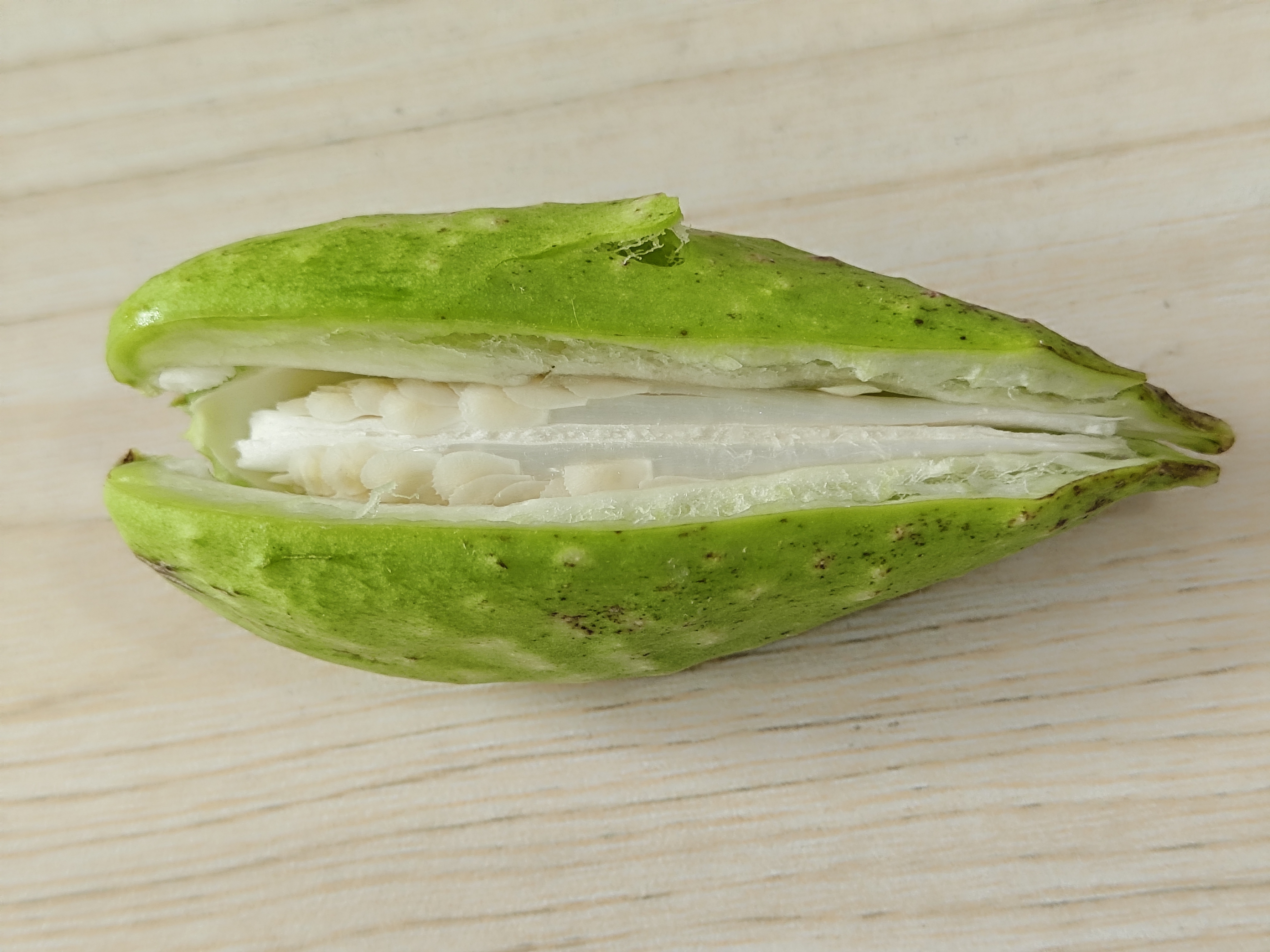 萝藦俗称老鸹瓢,你见过吗?来解剖一下它的花果看看有什么秘密