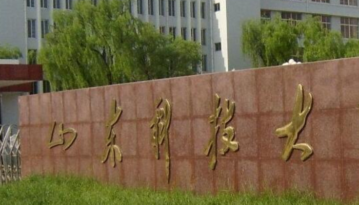 泰山科技学院logo图片