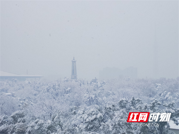 橘子洲头雪景图片