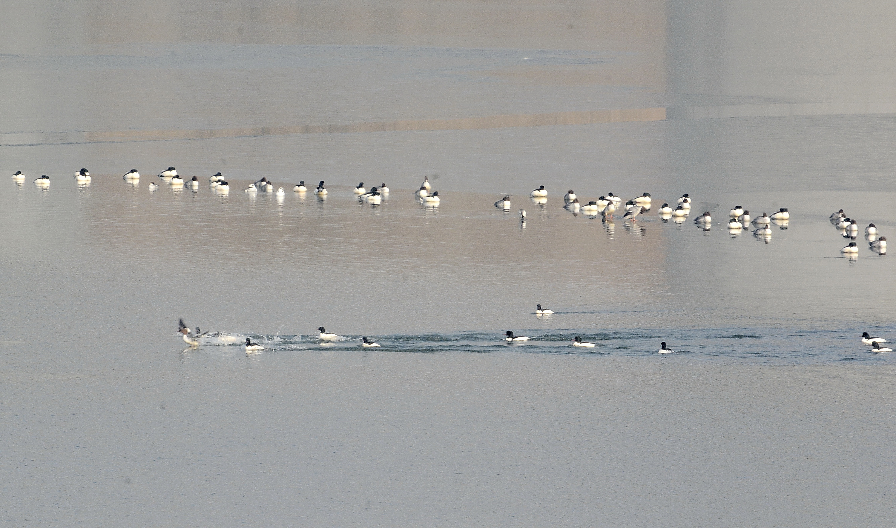 6年北京地下水位"增高"9.64米