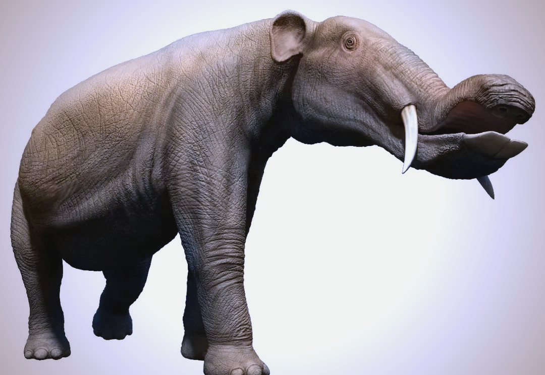 探索史前大象世界:铲齿象的独特外貌与生存之道