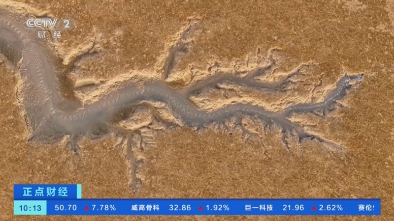 金光闪闪!江苏启东海边惊现"潮汐龙"