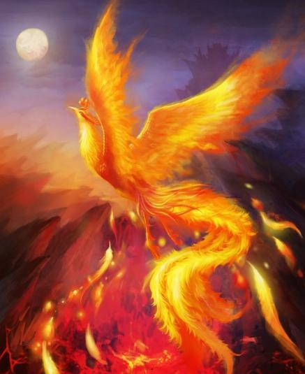 青未了|凤凰涅槃