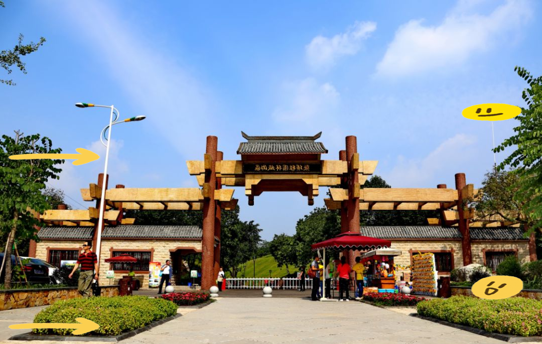 张坝桂圆林:绿色氧吧与休闲胜地