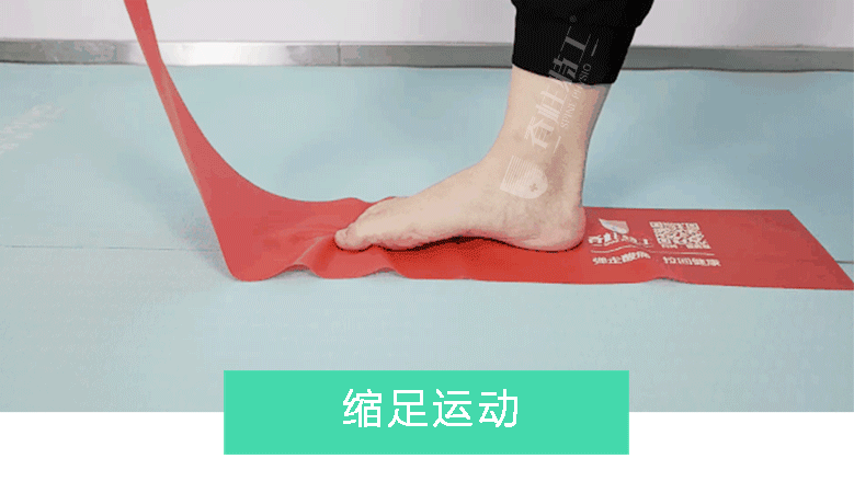 3)缩足部运动