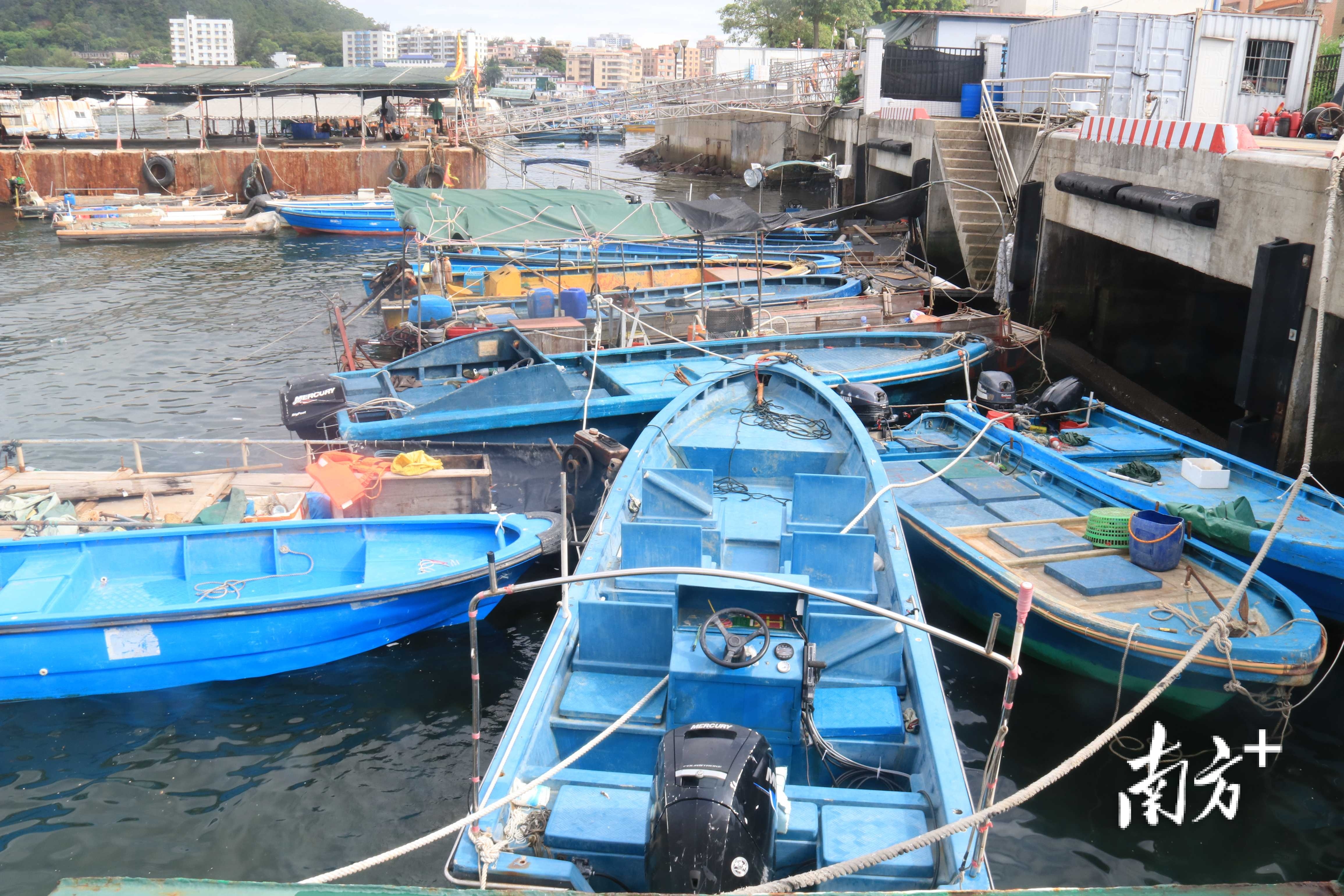 查扣违规渔船51艘,惠州海警局联合多部门开展专项执法行动