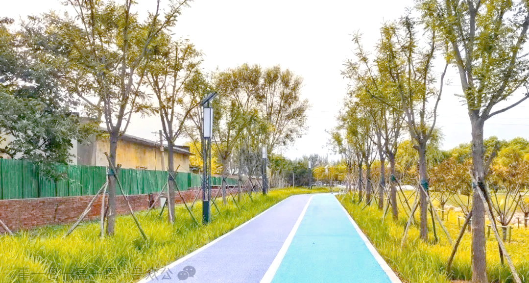 秦皇岛河东湿地运动公园:休闲与生态的完美结合