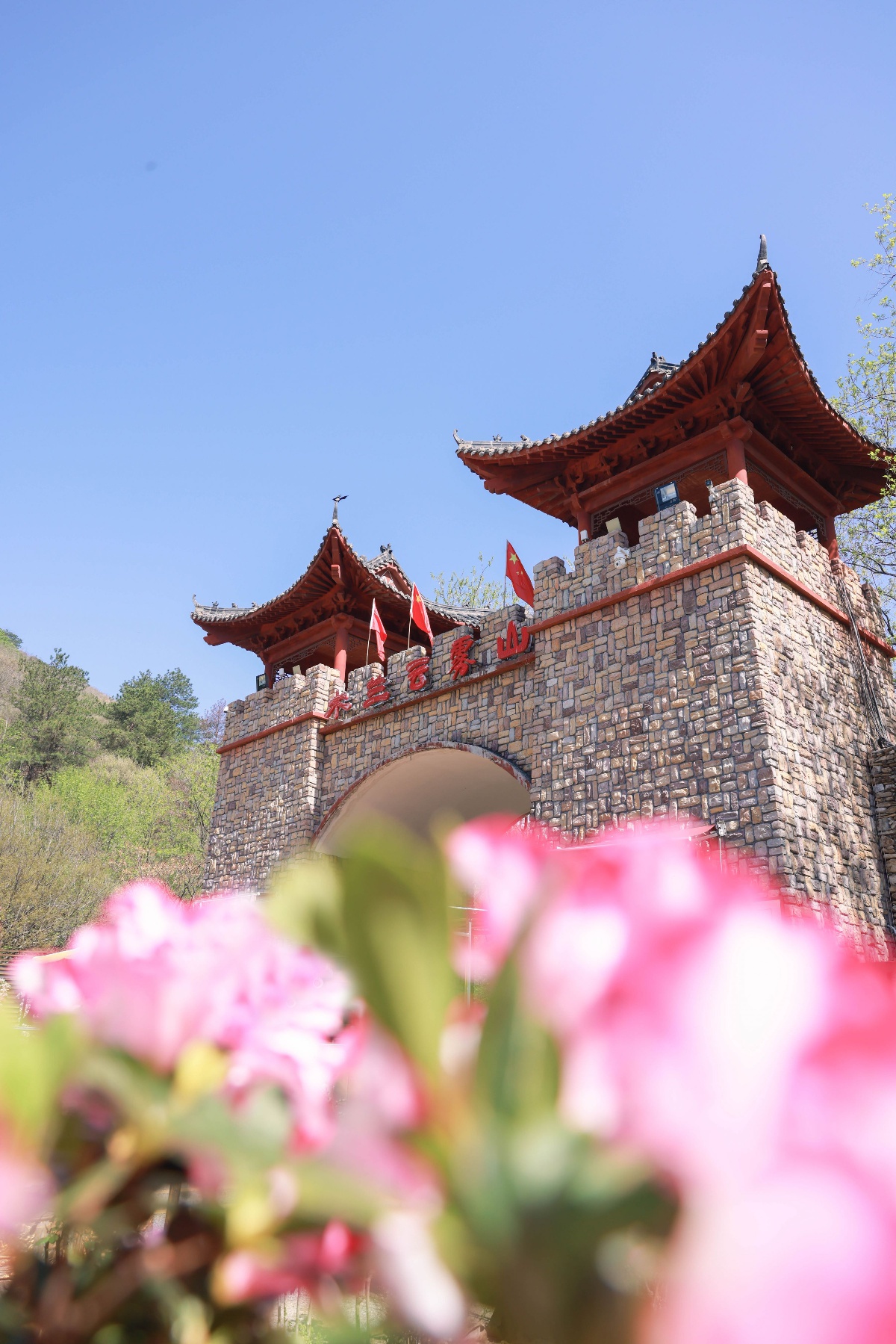 木兰云雾山万亩映山红"爆火",景区服务员直播圈粉50万