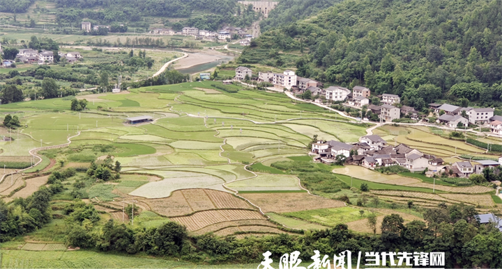 道真自治县三桥镇:开展"四赛四促"产业发展大比武