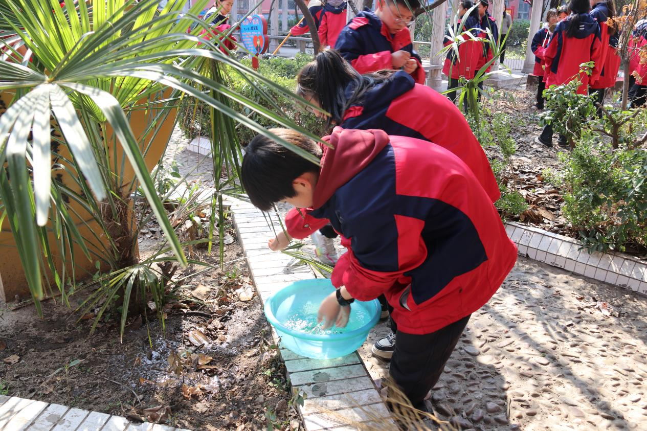 禹州市第四实验学校开展植树活动 以实际行动爱绿护绿