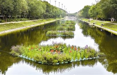 實施水生態修復工程 河道水質顏值雙提升