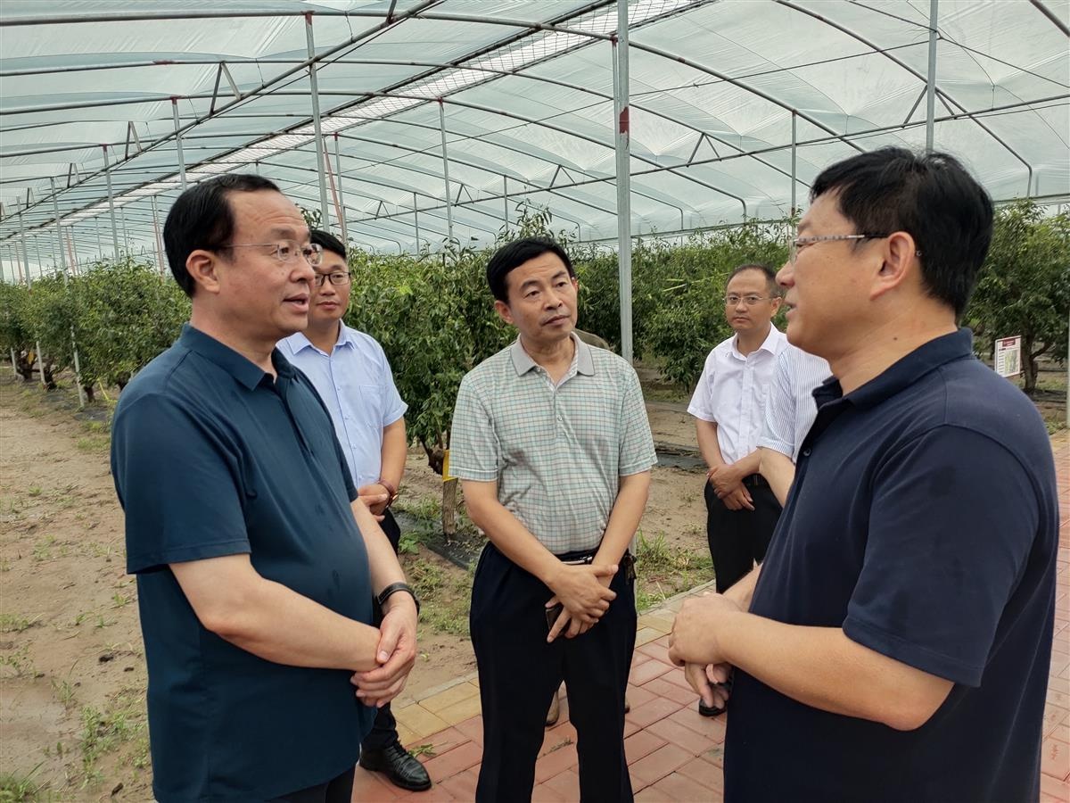 王文禄到沾化区调研