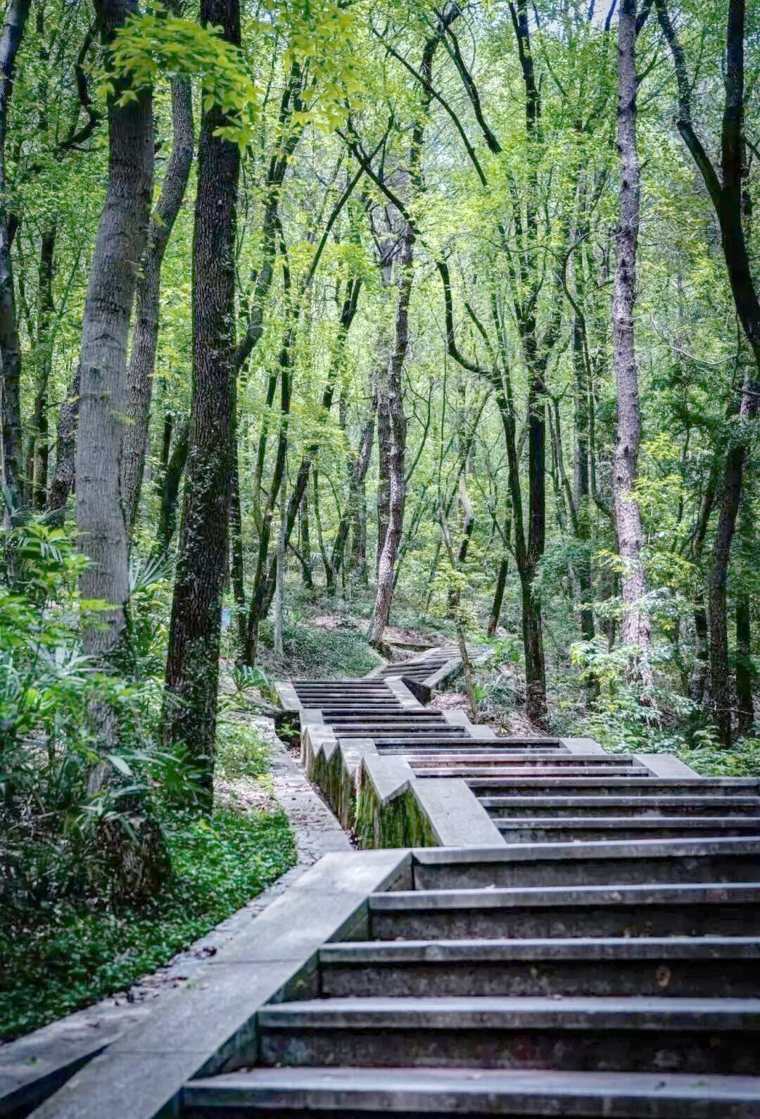 武汉周边免费登山胜地攻略