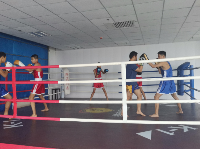 潍坊市拳击队首家学校后备人才输送基地在临朐挂牌