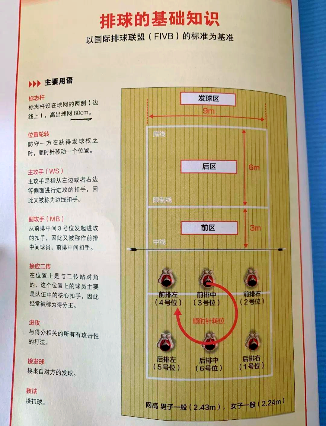 排球各位置球员的职责与要求