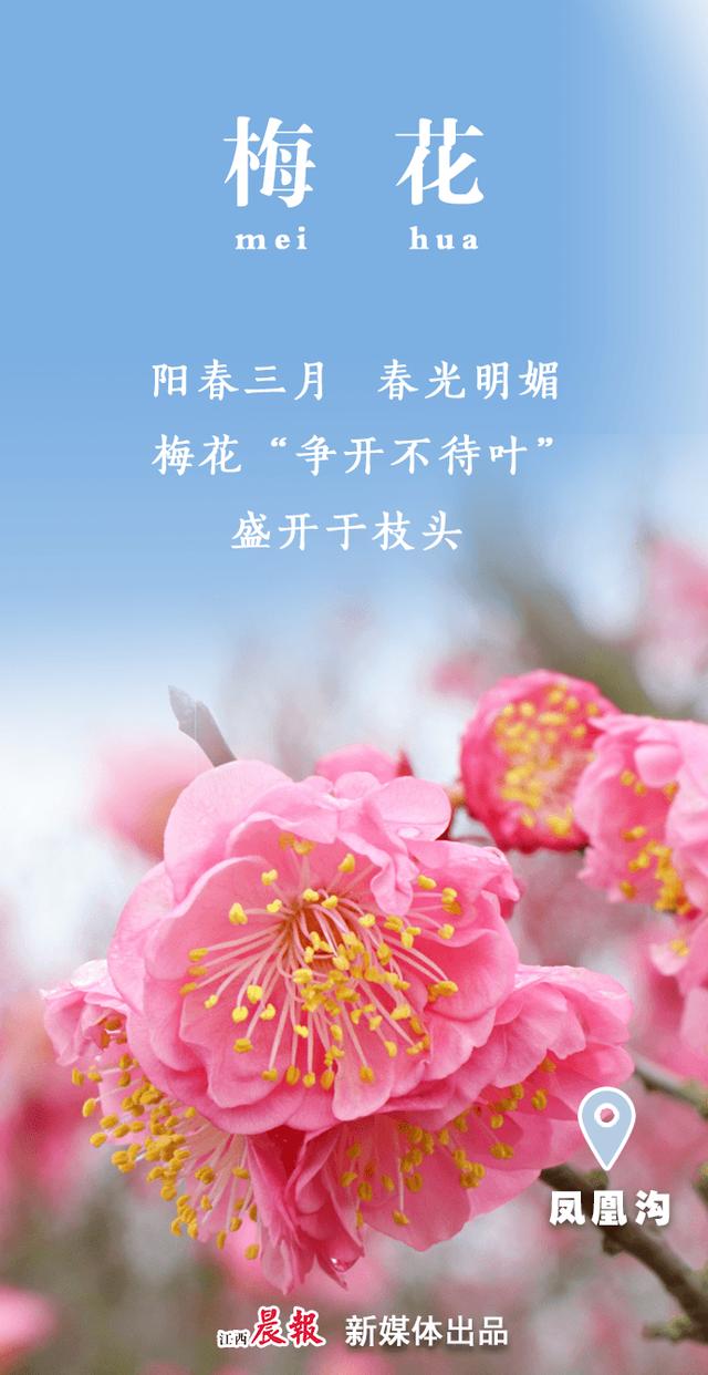 花开疫散,春光岂能辜负