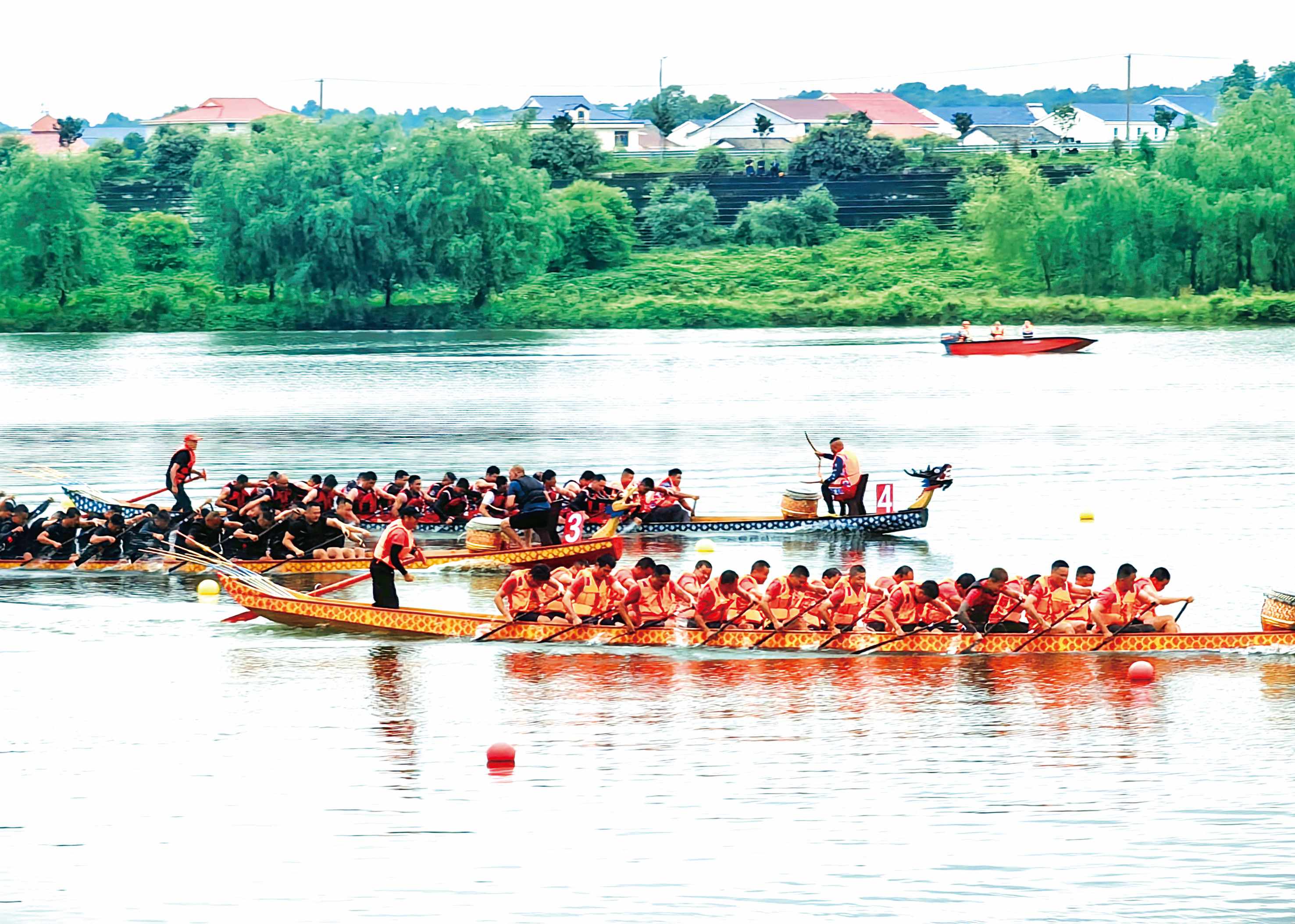 文化中国行|汨罗江上桨声不断 端午民俗历久弥新